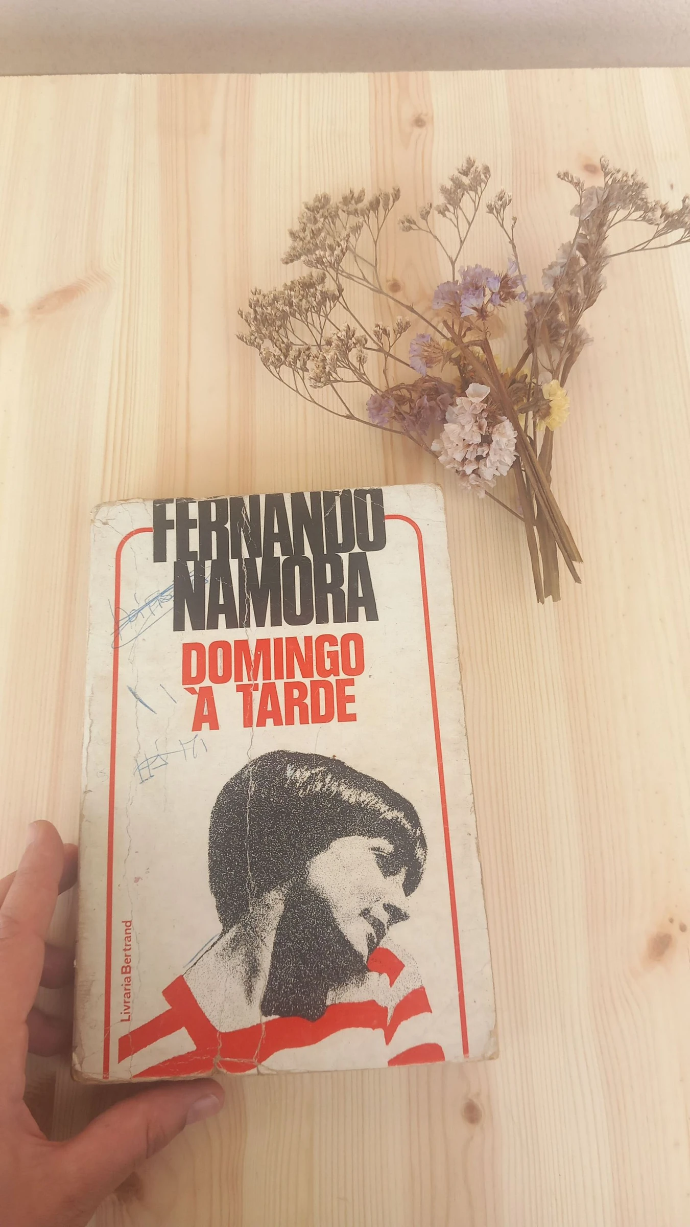 Domingo à Tarde, Fernando Namora | Editora: Livraria Bertrand